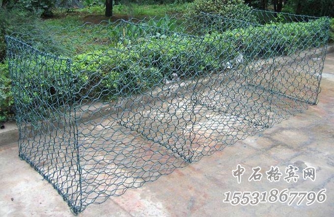 綠格網.jpg