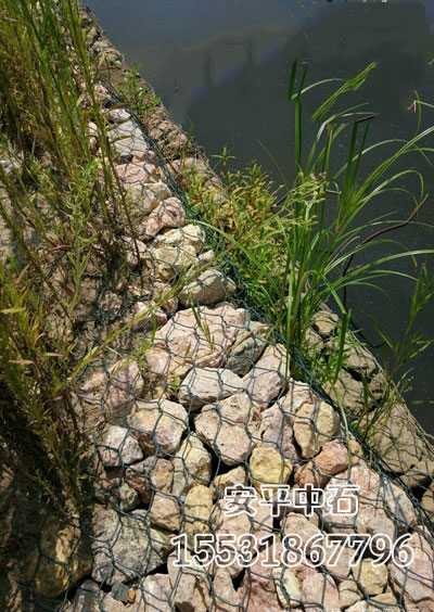 固濱籠網護腳